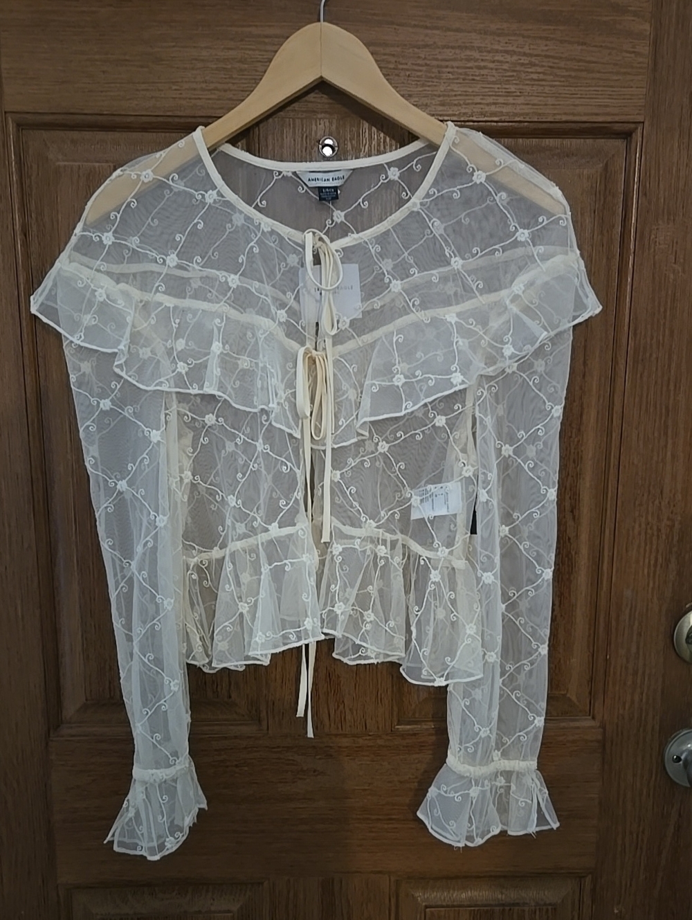 American Eagle Outfitters Ivory Sheer Embroidered Ruffle Tie-Front Blouse